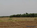 vente-terrain-titre-a-route-dourika-km-9-small-0