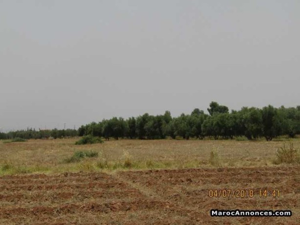 vente-terrain-titre-a-route-dourika-km-9-big-0