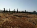 a-vendre-terrain-1400m2-titree-a-skhirat-small-0