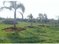 a-vendre-terrain-2500m2-titree-a-skhirat-small-0