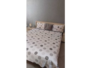 Appartement meublée à louer centre ville
