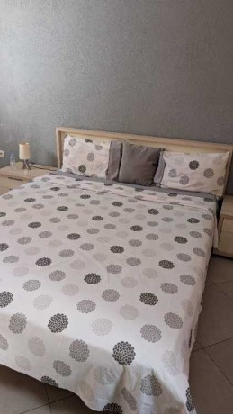 appartement-meublee-a-louer-centre-ville-big-0