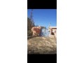 maison-meuble-a-louer-aunagha-small-0