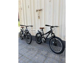 Vélo VTT SPORT BIKE ALUMINIUM 20 Pouces  Meilleure
