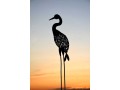 appartement-meuble-a-agadir-small-0