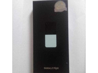 SAMSUNG Galaxy Z Flip5