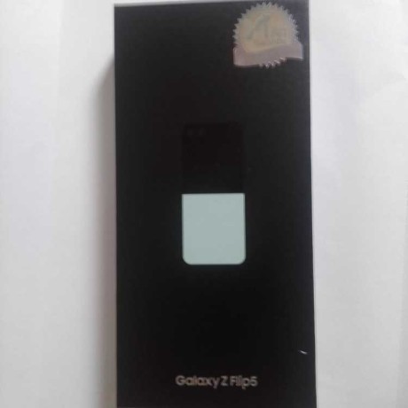 samsung-galaxy-z-flip5-big-0