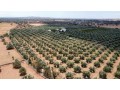 villa-ferme-small-0