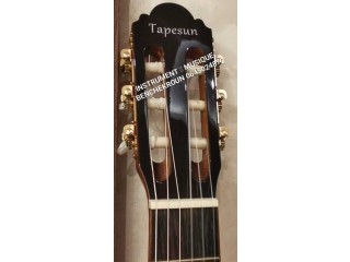 Guitare électro classique TAPESUN Espagnol