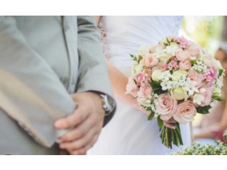 أبحث عن شريكة العمر