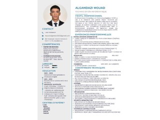 TECHNICIEN EN INFORMATIQUE