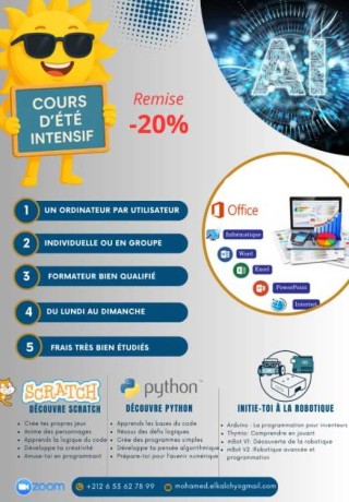 prof-dinformatique-et-robotique-big-0