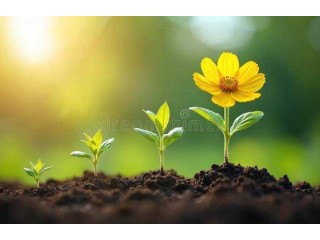 Financement d’un projet commercial