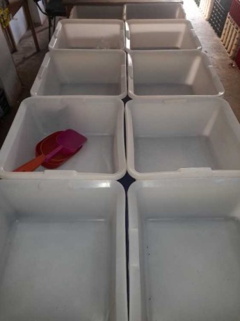 boat-alktany-big-0
