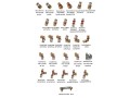 raccordement-par-pieces-a-sertir-et-mecanique-small-0
