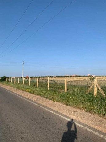 terrain-agricole-a-bouznika-big-0