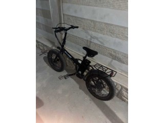 🚲 Vélo électrique ITALIA POWER FAT