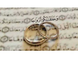 شريك الحياة