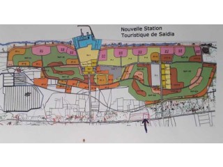 Vente terrain titré 40 600 m² à Saïdia
