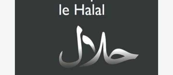 sauf-pour-le-halal-big-0
