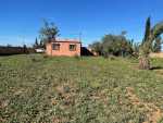 Petite ferme à vendre à larbaa chtouka